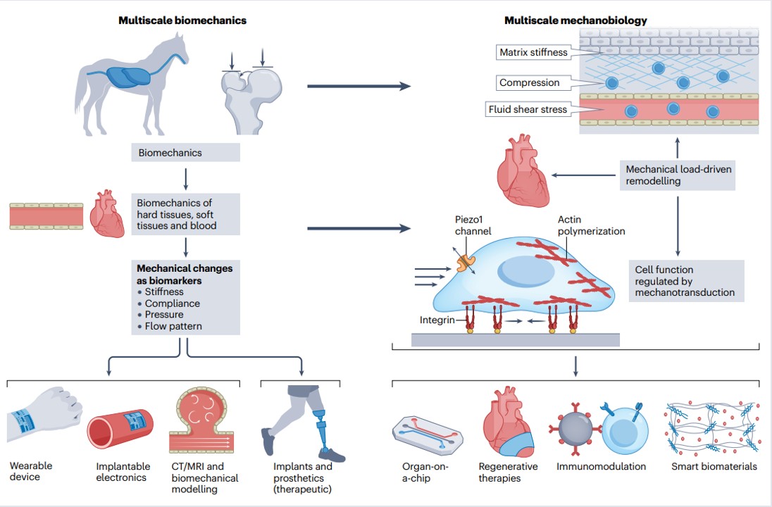 John A Rogers tweet media