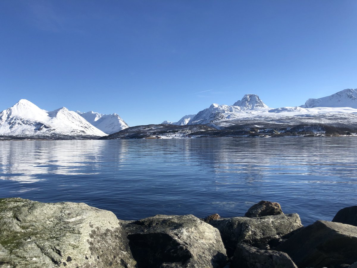 Simon Wood tweet media