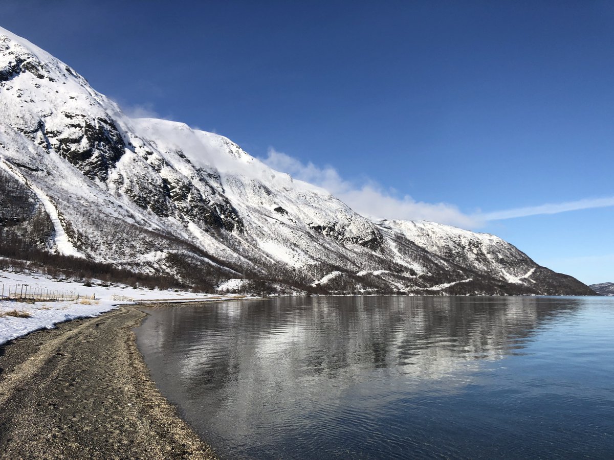 Simon Wood tweet media