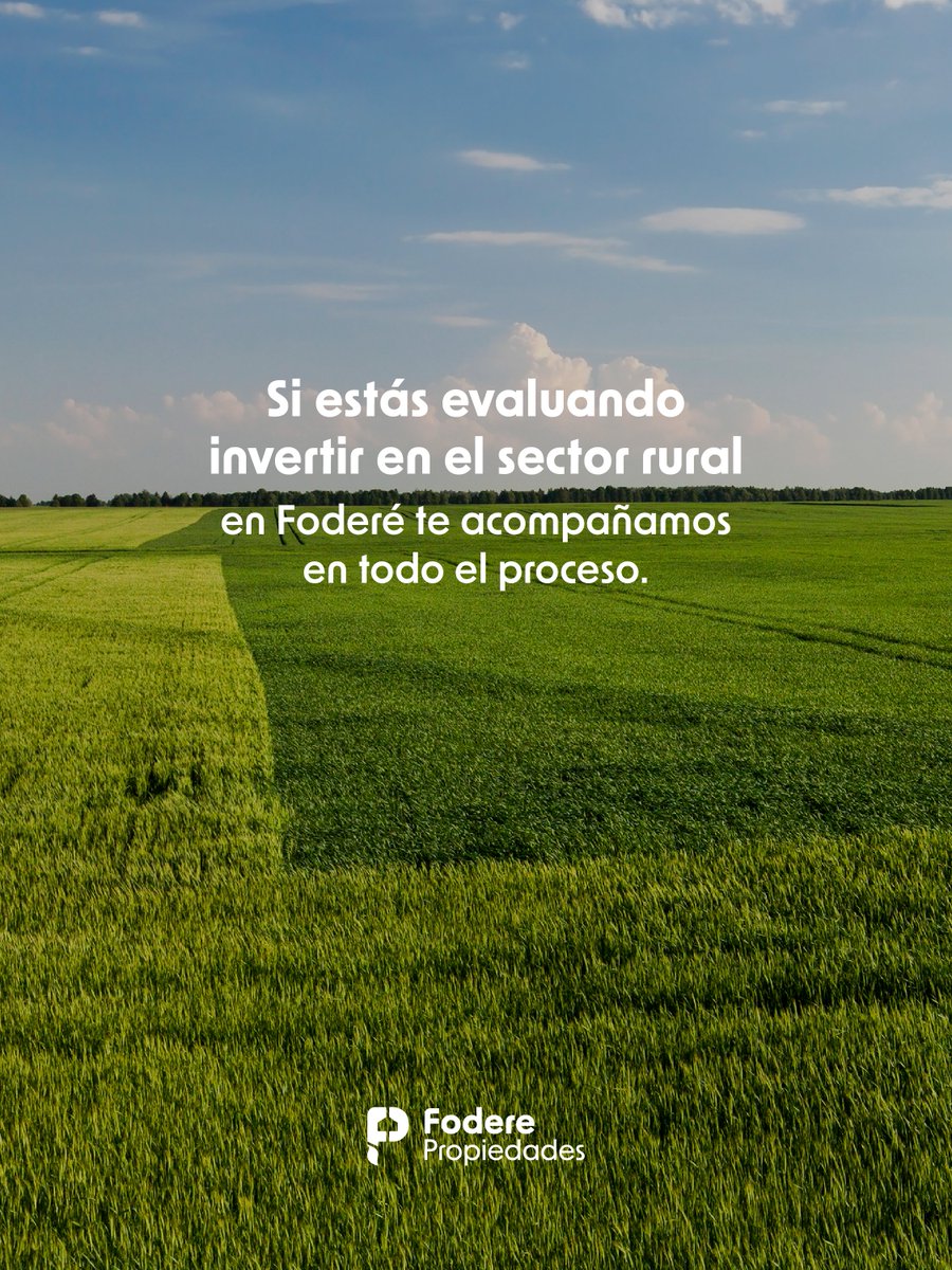 Fodere Propiedades tweet media