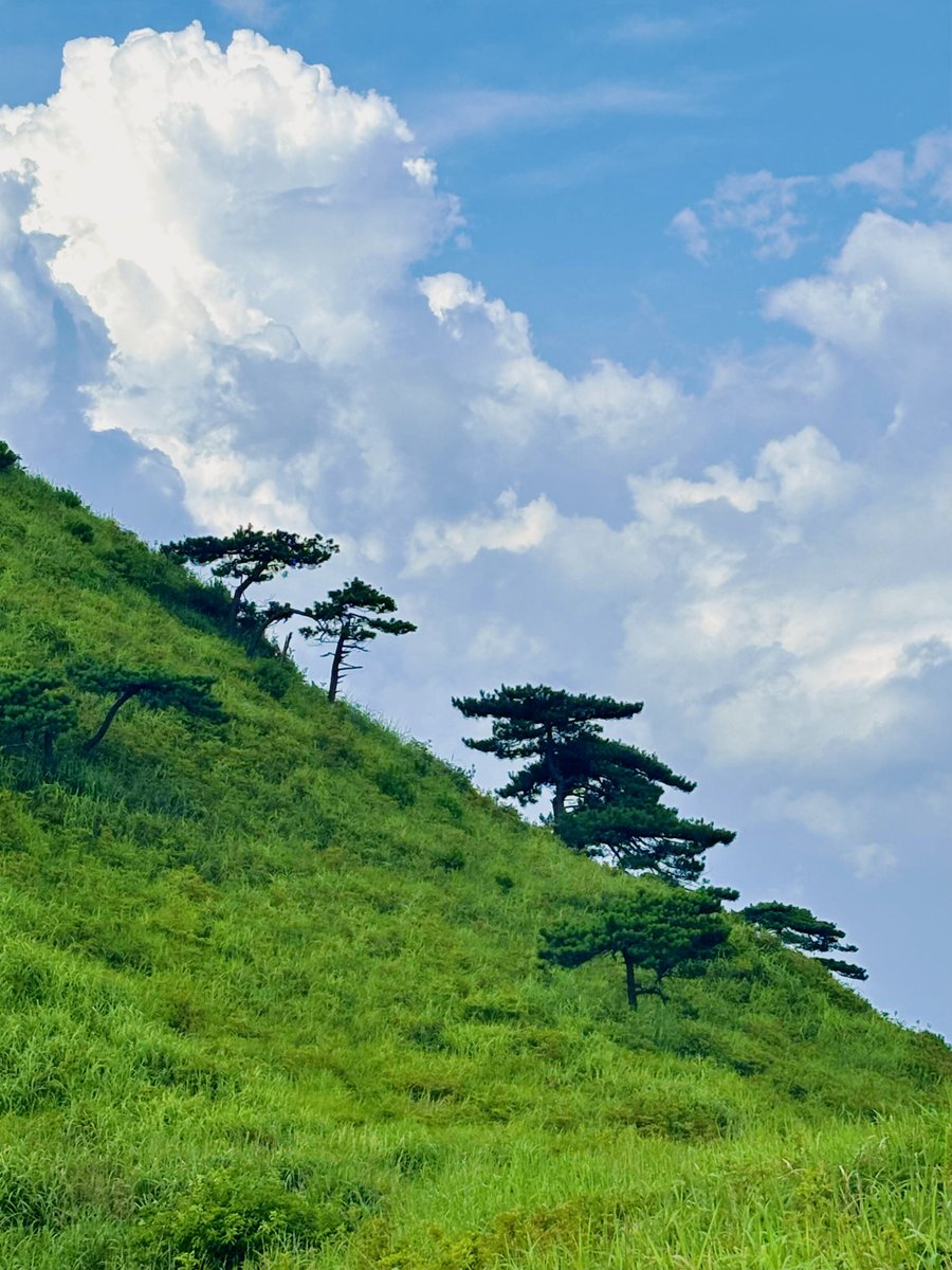 Unique Coles tweet media