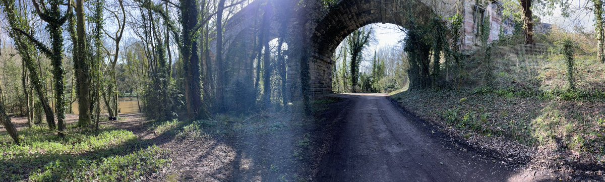 Puppy Bess and Auntie Kes tweet media