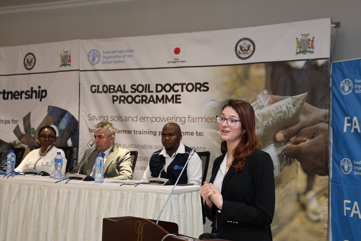 FAOZambia's tweet photo. 🗣️“Strengthening soil information systems &amp; investing in decision-support is key to improving agricultural productivity and input efficiency.”
— Julie Kapuvari, @StateDept highlighting the importance of soil data &amp; innovation during the launch of the Zambia Soil Partnership. https://t.co/hXsLaIpJpH