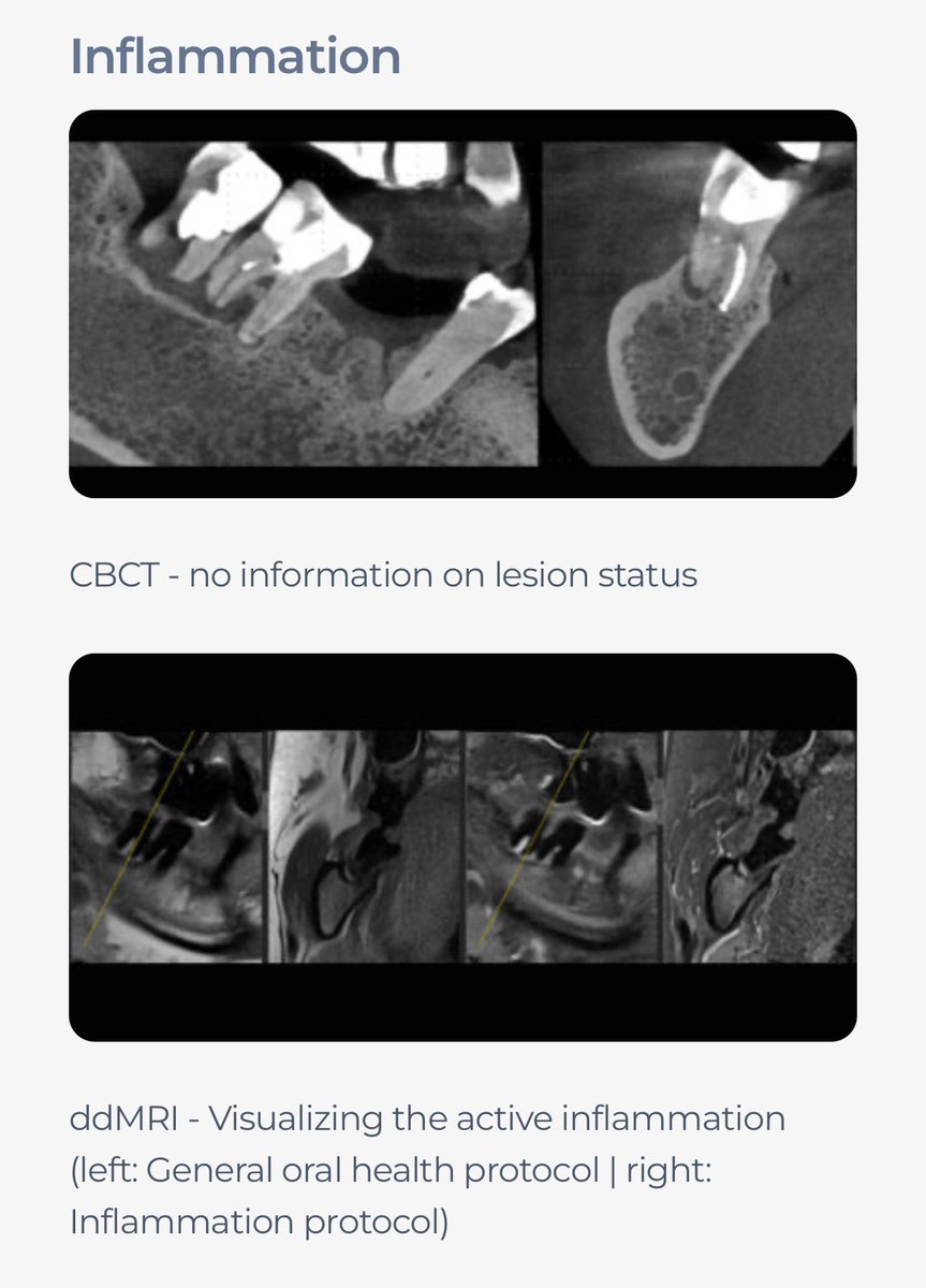 سلطان بن عبدالعزيز 🇸🇦 tweet media