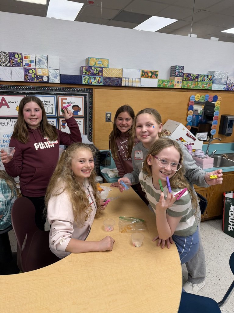 Brunswick CSD tweet media