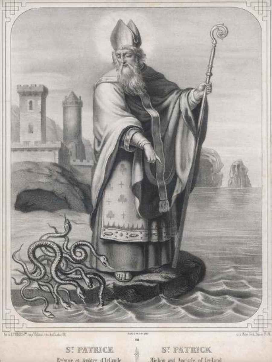 What would St. Patrick do? He wound drive the unelected European Union snakes in to the Sea!!  🐍