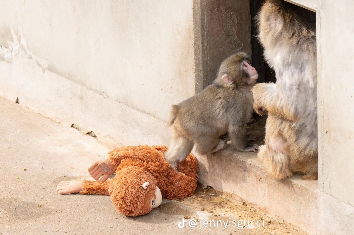 nata 🤍 tweet media