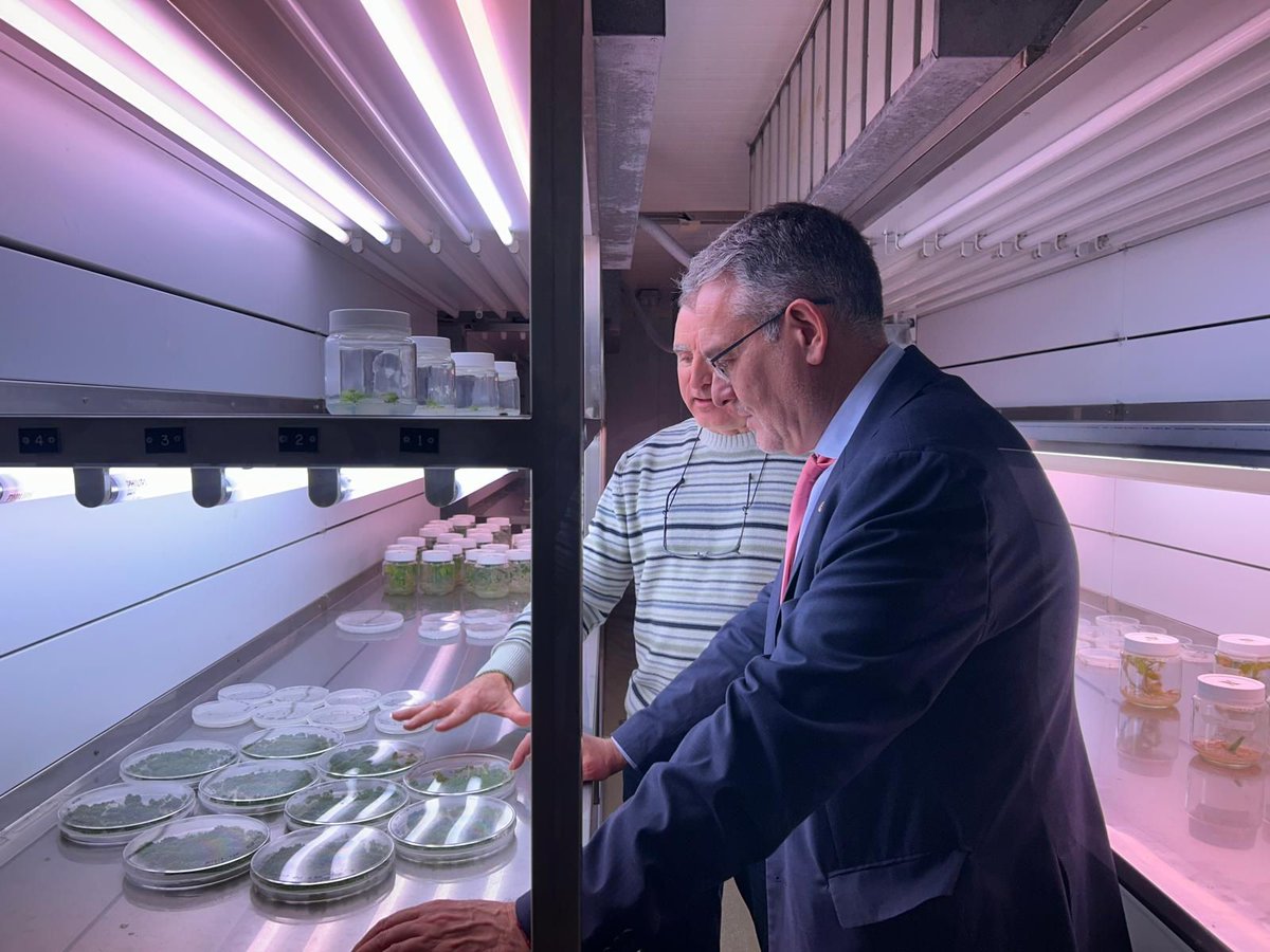 Instituto de Agrobiotecnología - CSIC tweet media