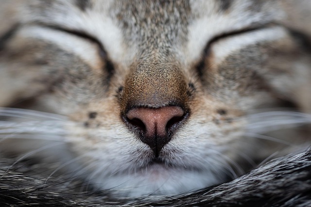 Nasser Daughenbaugh tweet media