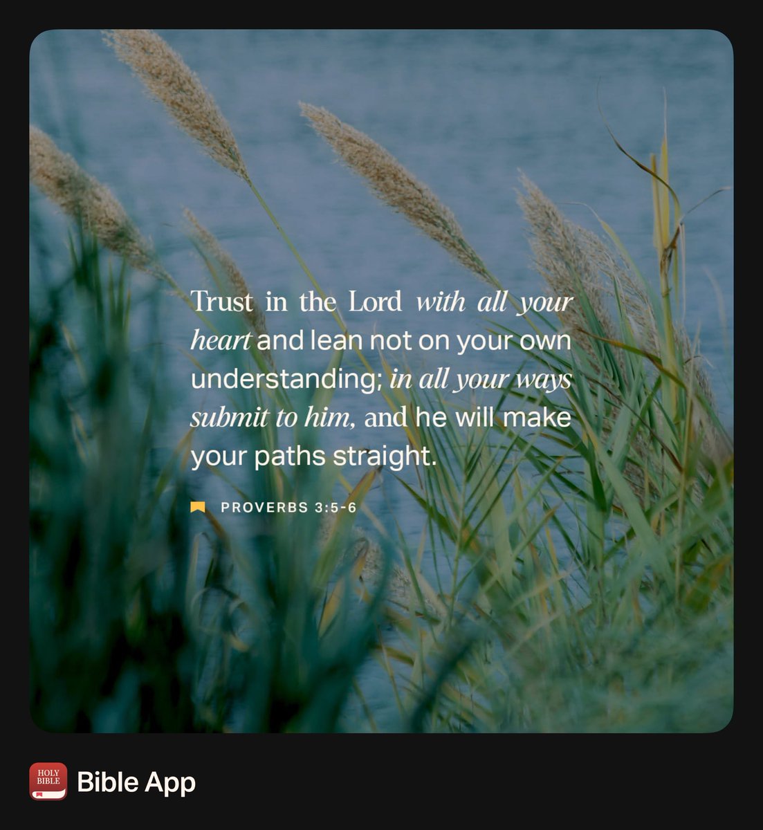 EnyaFlack's tweet photo. https://t.co/k6JDu4XxD2