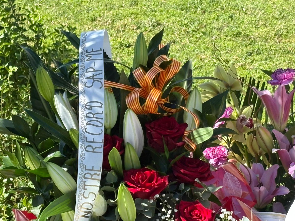 SAP-FEPOL tweet media