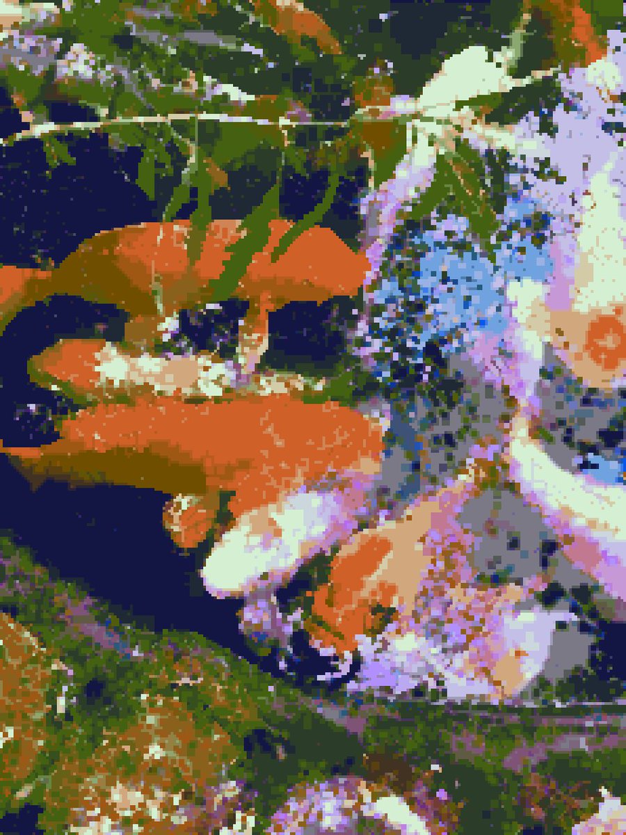 Daniel Todd tweet media