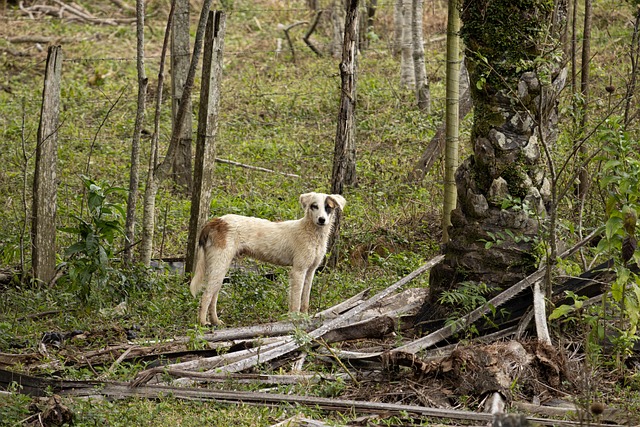 Katy Patterson tweet media