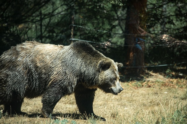 Susan Young tweet media