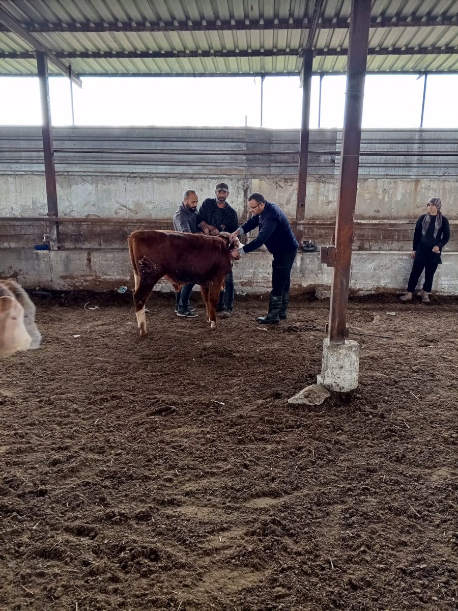 Şanlıurfa İl Tarım ve Orman Müdürlüğü tweet media