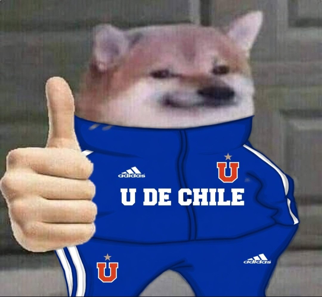 Barsinson Bullanguero🦉 tweet media