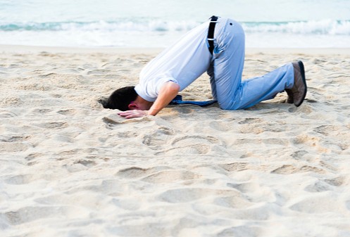 Neuro Vitality Ltd tweet media