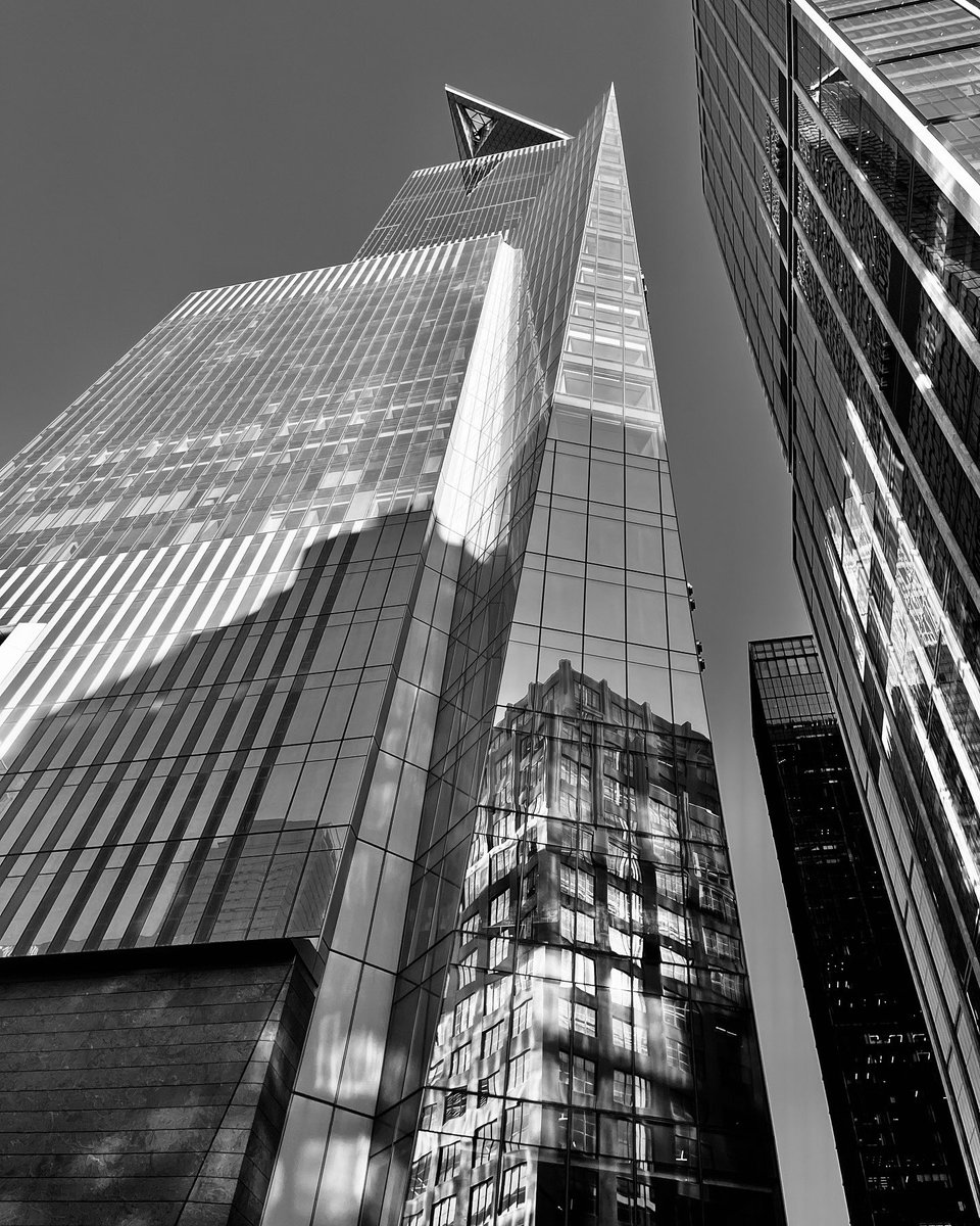 Perly 🦈 tweet media