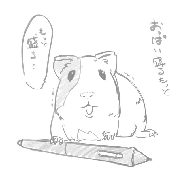 心が平静を取り戻して手が動きそうなんですが、色々あって現在こんな生態になっちゃってるけど許してくださいねʕ•͡ω•ʔ 