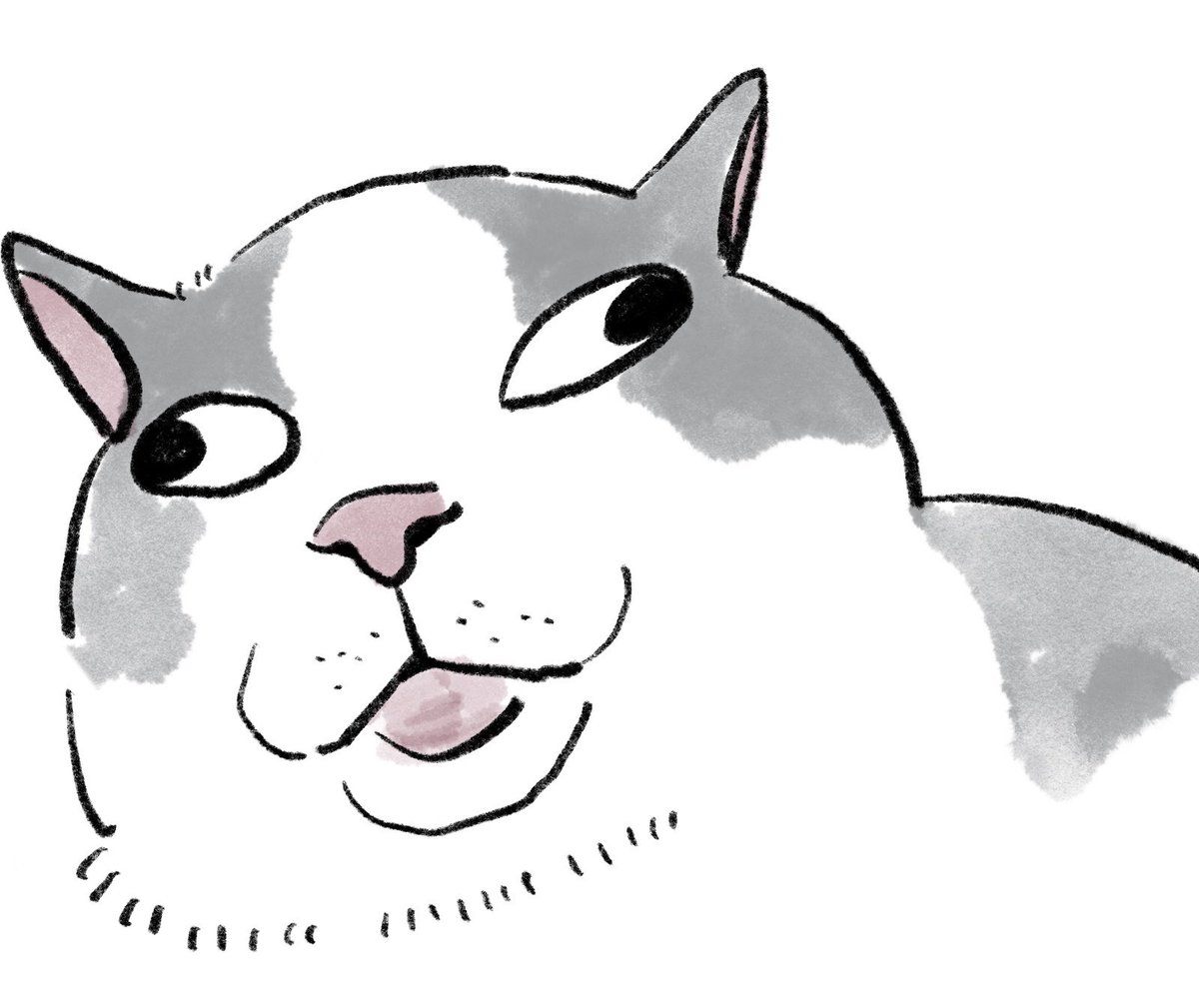 のなか海　書籍発売😽 tweet media