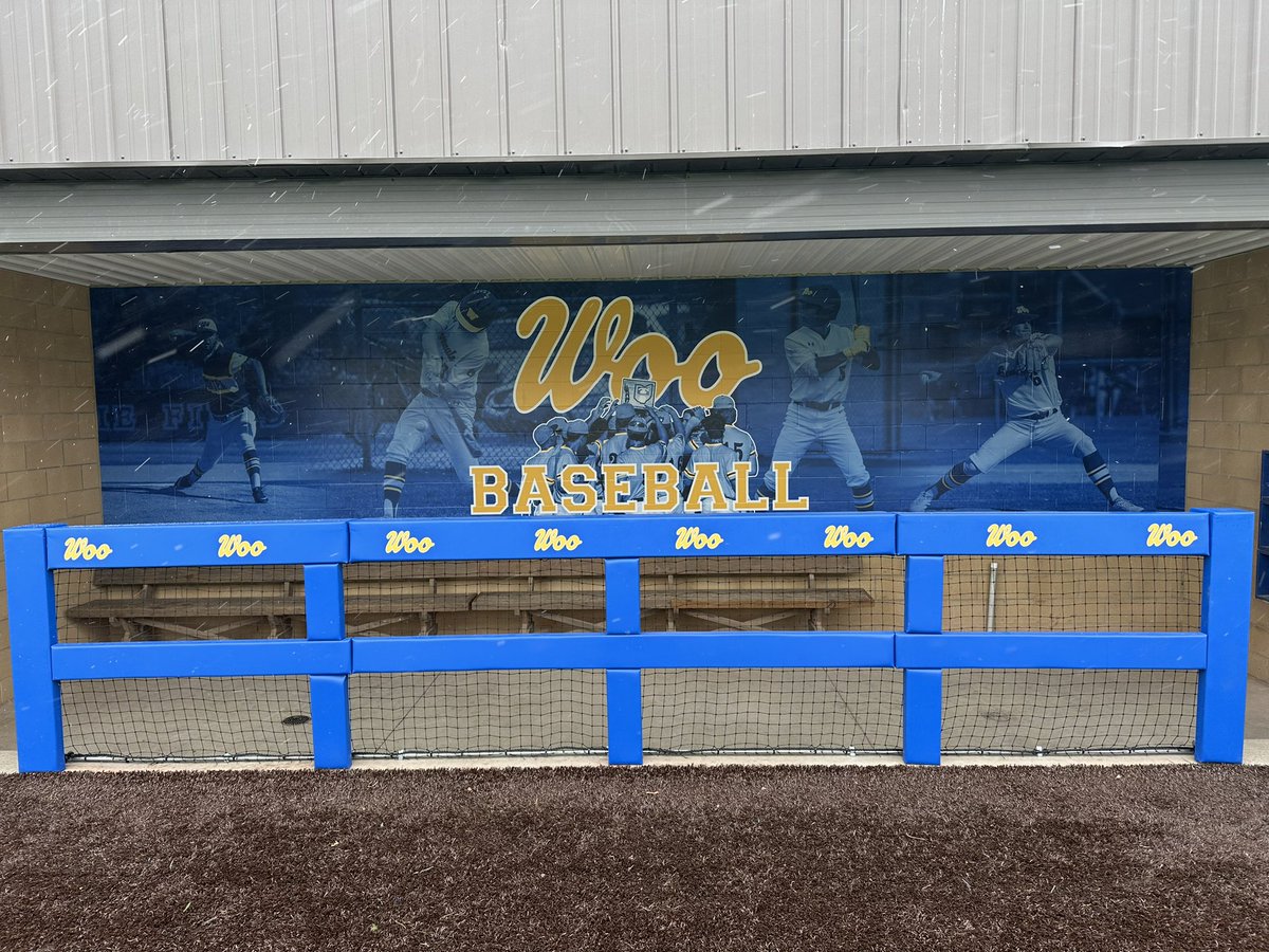 Woo_Baseball tweet media