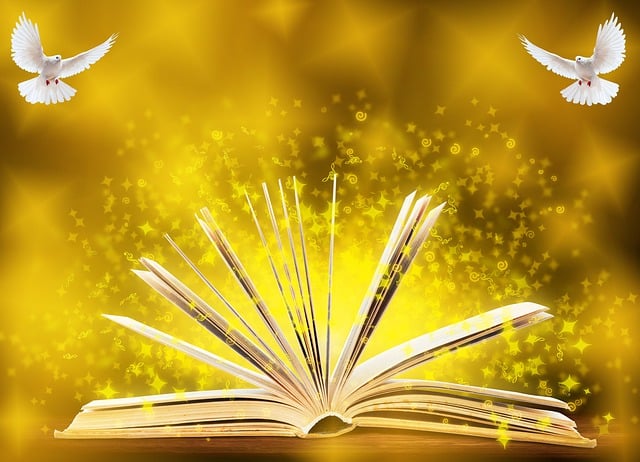 Dixil Kalapir tweet media