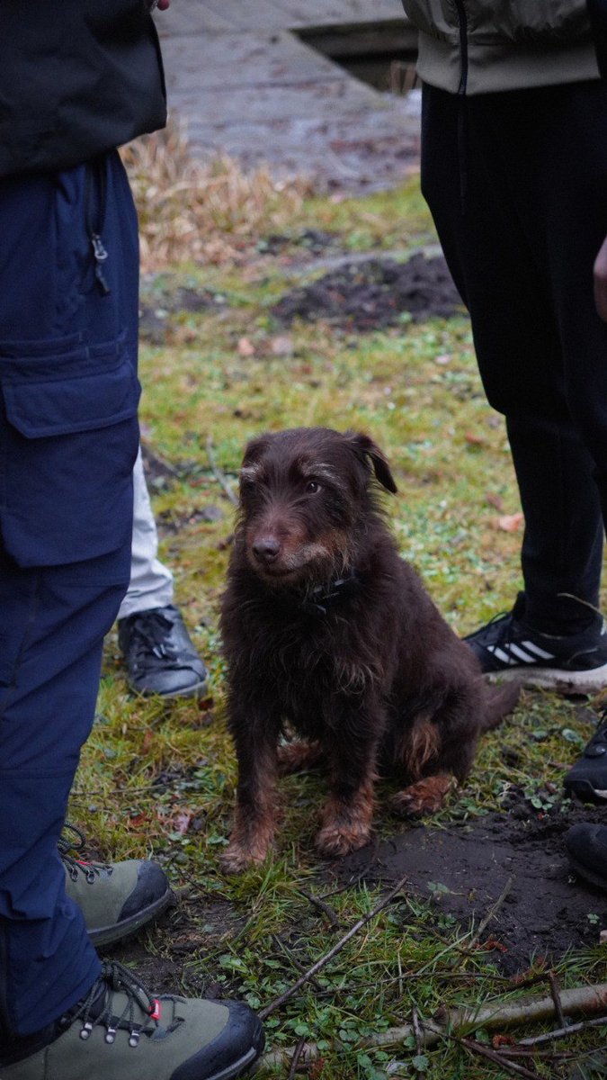 Generation Schleswig-Holstein tweet media