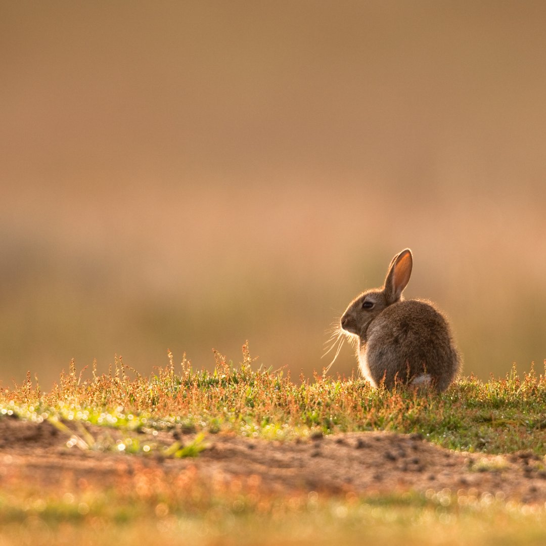 EmbraceScotland tweet media