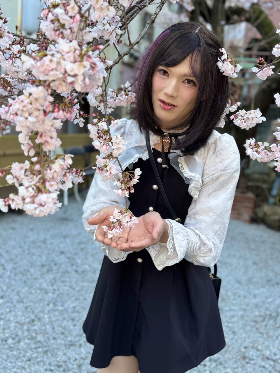 女装サロンリーフスタイル tweet media