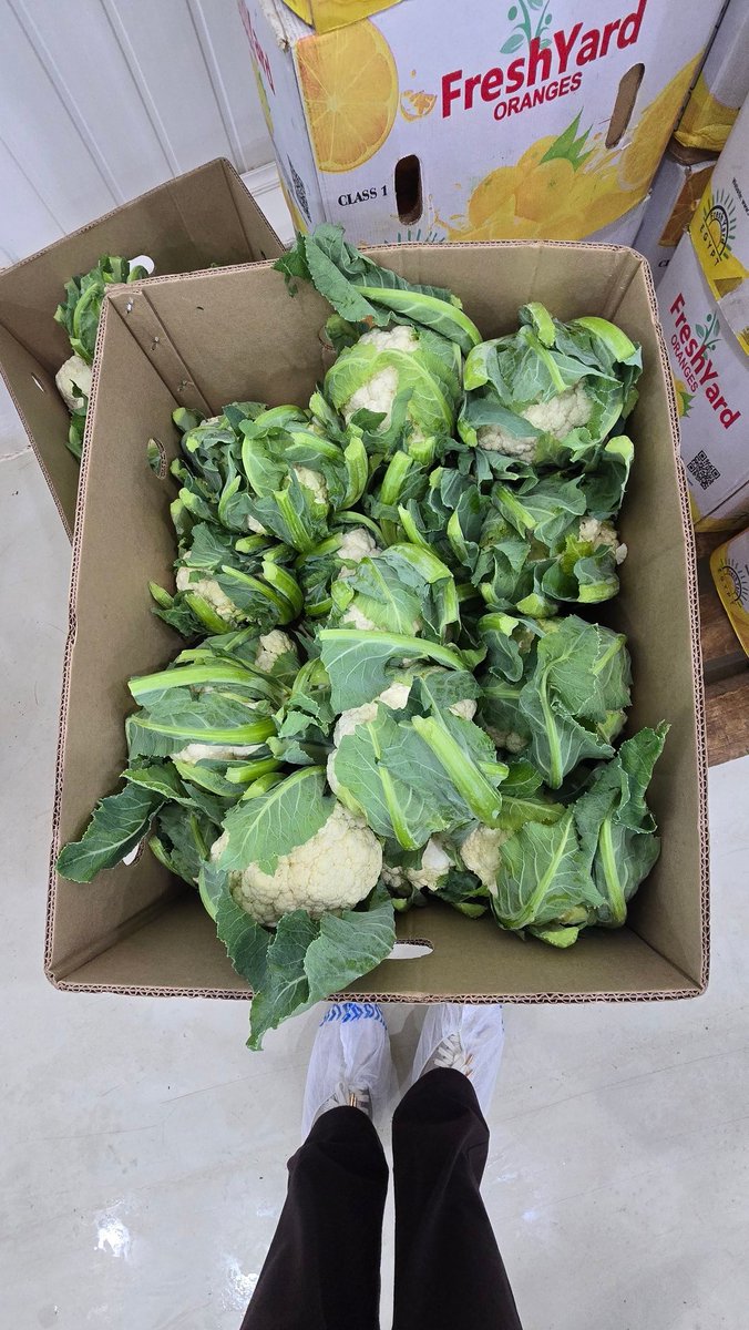 Dorothy Ooko tweet media