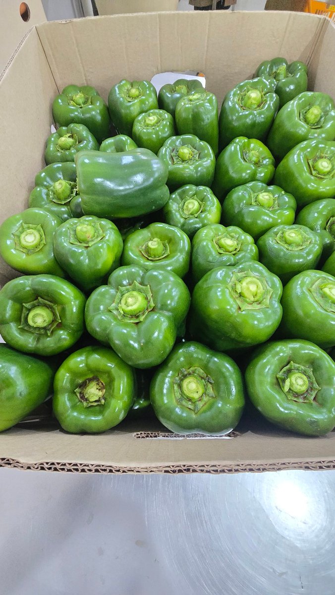 Dorothy Ooko tweet media