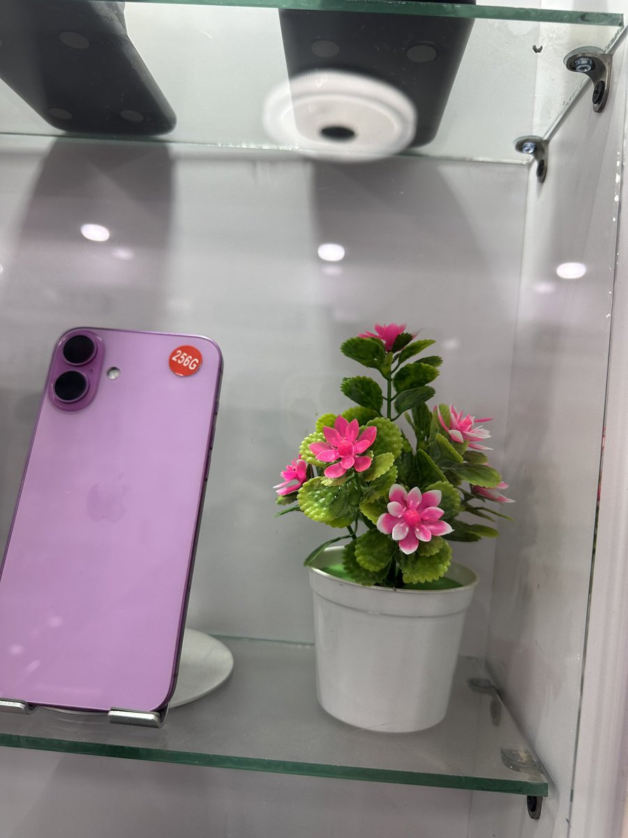 C.A.T.S 🇸🇳🇪🇸 tweet media