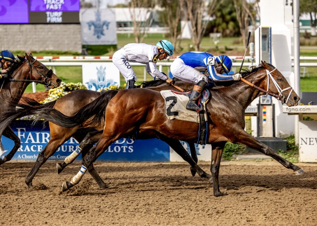 Louisiana Bred tweet media