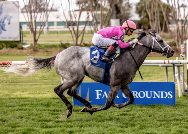 Louisiana Bred tweet media