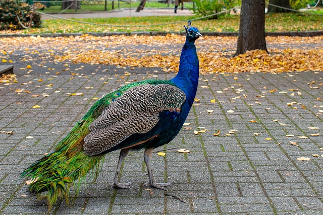 Pamela Craig tweet media