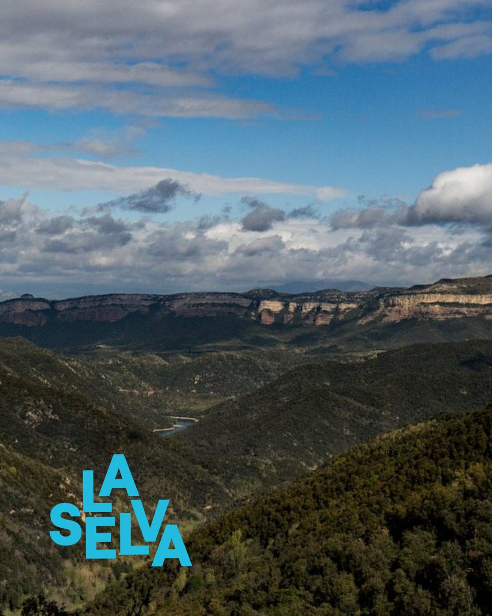 Turisme La Selva tweet media