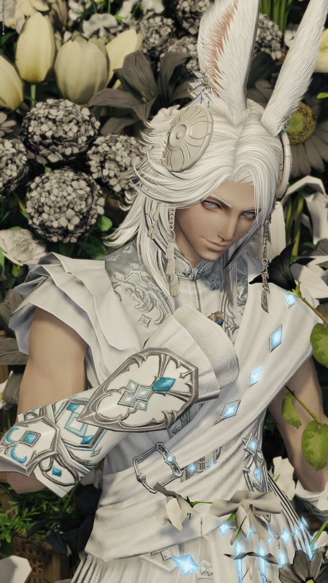 REbiseER tweet media