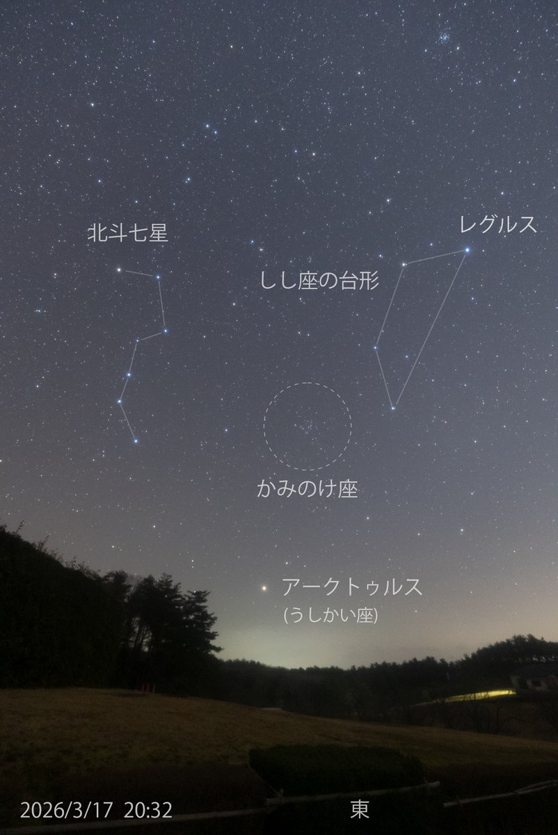午後9時頃の東の空に星がパラパラと集まっています。
この辺りが「かみのけ座」です。
紀元前3世紀のエジプトにプトレマイオス王朝がありました。その王妃ベレニケの美しい髪の毛が星座になったものです。
少し変わった星座ですが、星がたくさん見える場所では意外と見つけやすいですよ。