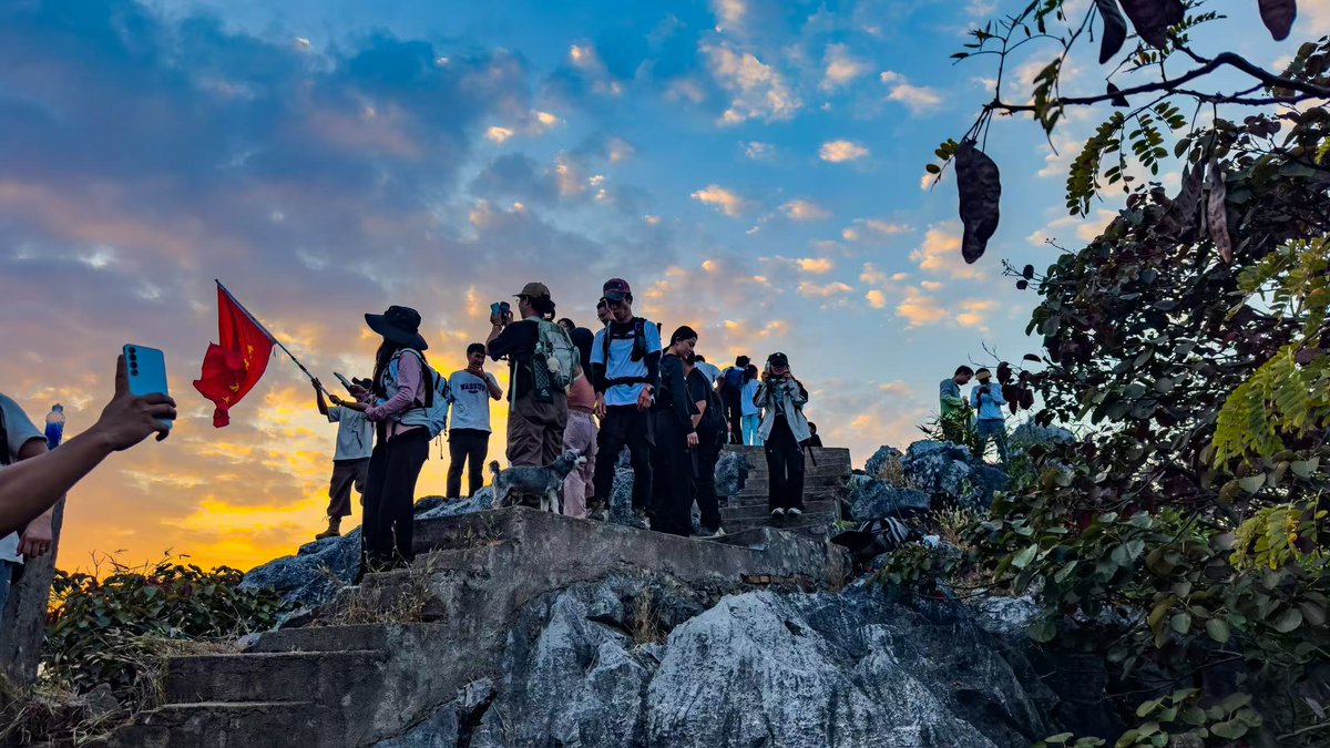 Mr. Cat 风度猫³ tweet media