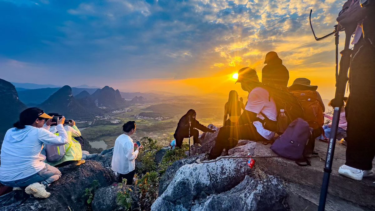 Mr. Cat 风度猫³ tweet media