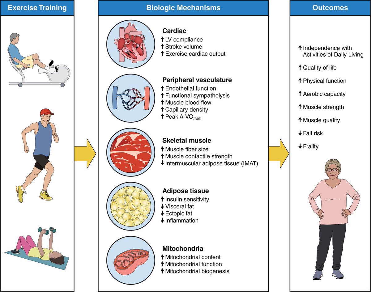 Christoph Burch tweet media