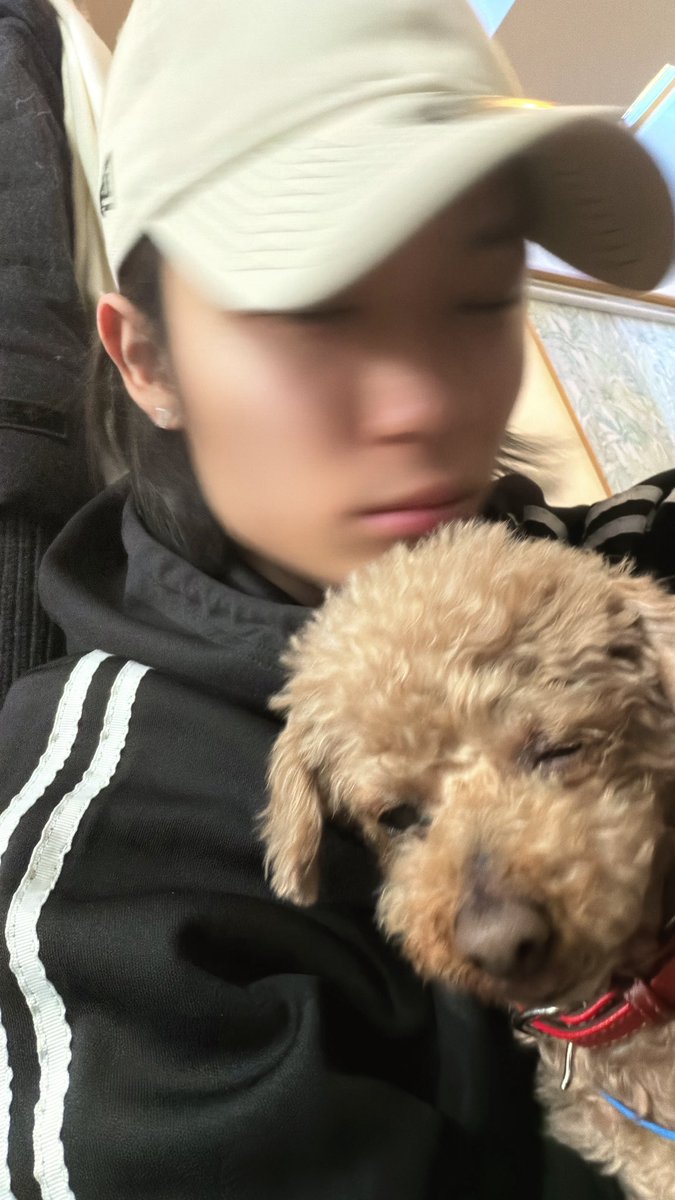 川合 立統 tweet media