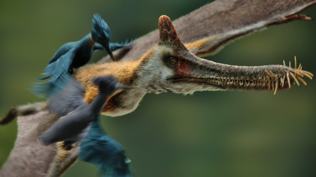 Palaeoncryptozoologist Briton tweet media