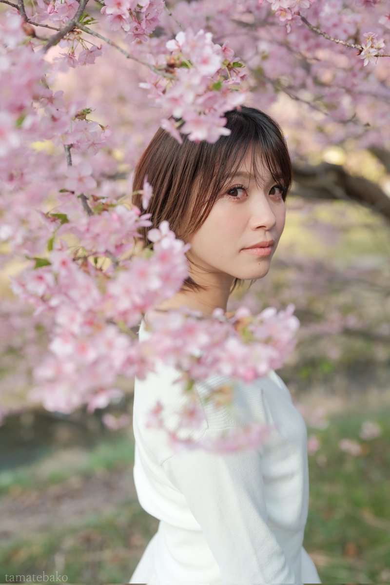 tamatebakoooooo's tweet photo. 静寂のなかで

須田アイカさん @sudaaika 

#ポートレート
#河津桜🌸
#fujifilm https://t.co/XMlZdq2zdx