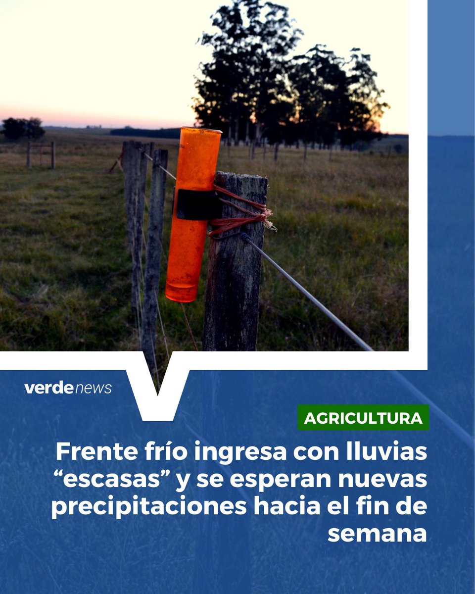 verdemedia tweet media