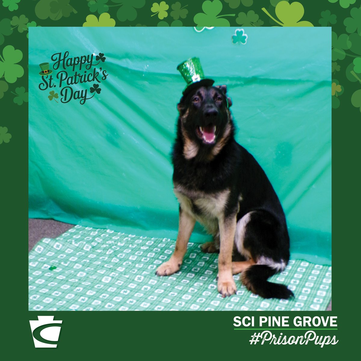 PA Department of Corrections tweet media