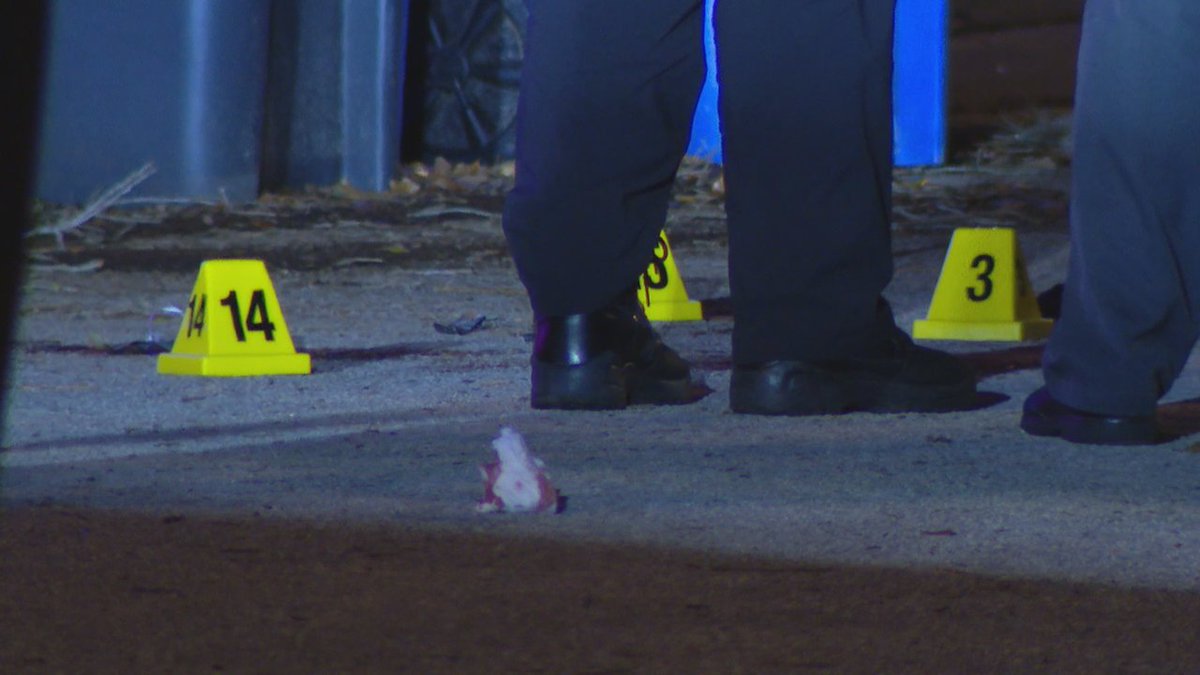 Ryan French FOX13 tweet media