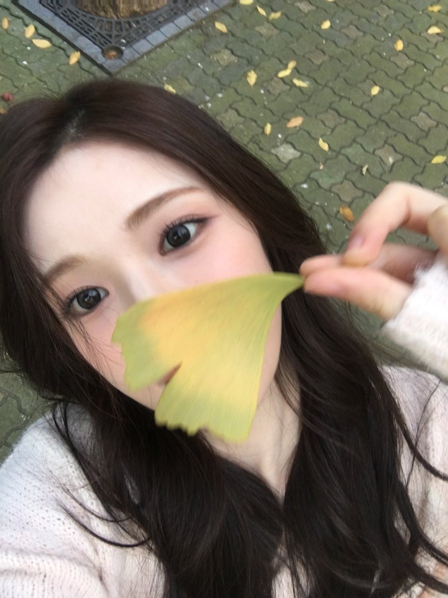 tadatanosii's tweet photo. 진짜이상형 https://t.co/uiLvNV5T8g