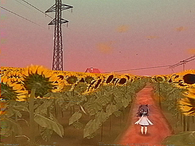 emiau (✦ nophenia small DEMO out ✦) tweet media