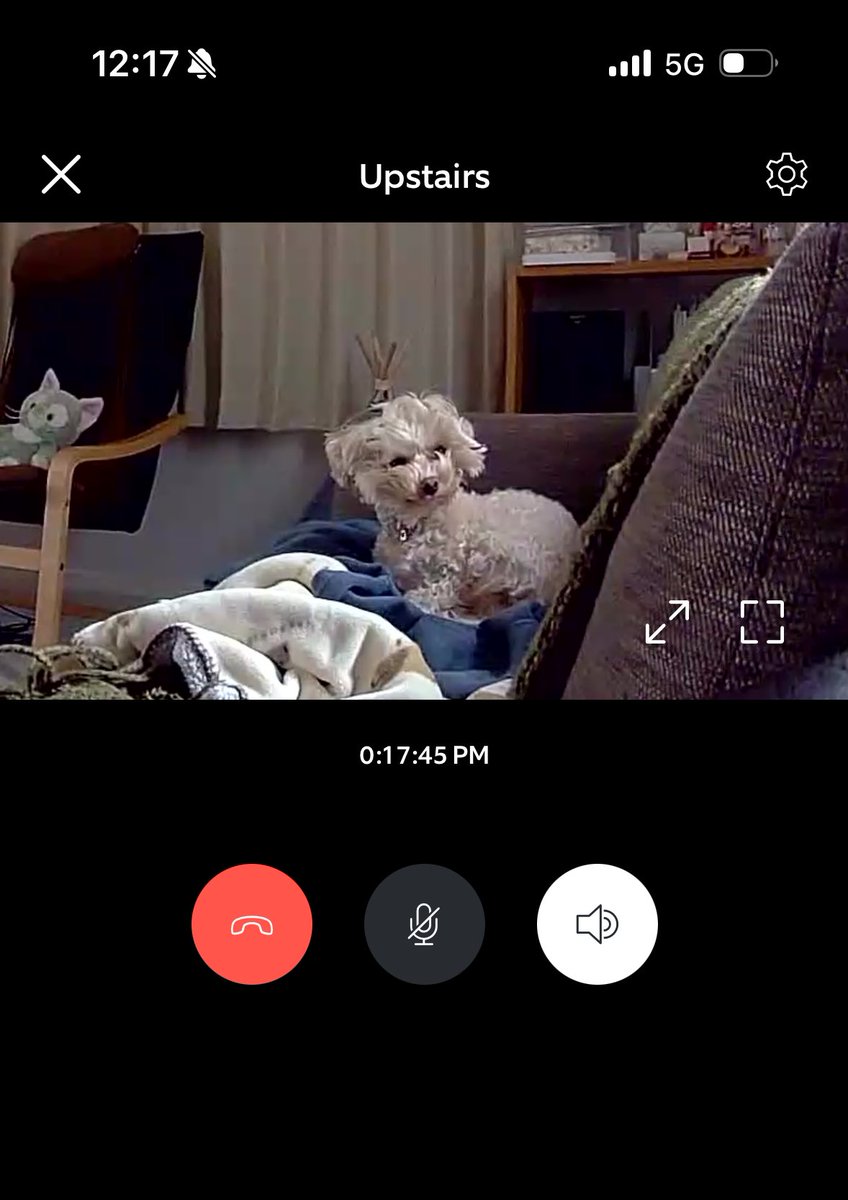 ちゃんけつ tweet media